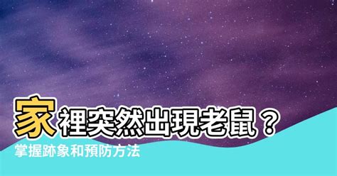 家裡突然出現老鼠 夢到眼睛受傷